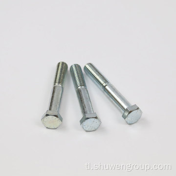 Katumpakan na na -customize hex head bolt